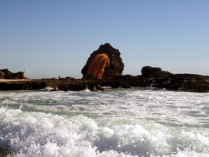 rock jellyfish photo hmg.jpg